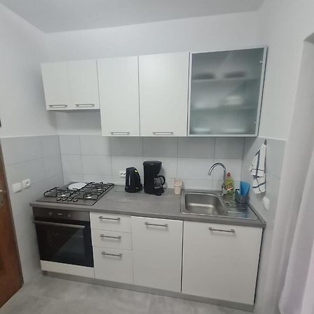 Apartment Anton ปิเนซิตซี ภายนอก รูปภาพ